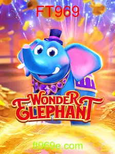 WonderElephant